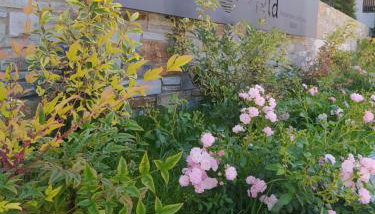 VIGLA IERISSOS - Foto 2, Garden view