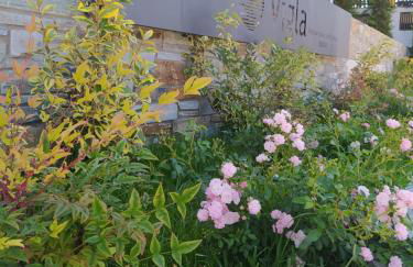 VIGLA IERISSOS - Photo 2