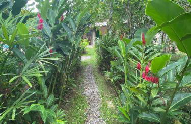 Chácara Gomes - Caiubura - Bertioga - Foto 74