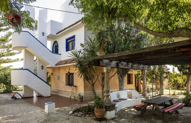 Paraiso Perdido - Foto 67