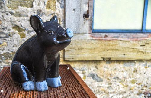 L'Autre Jardin, centre historique, calme, garage gratuit - Foto 36