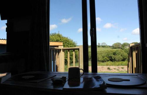 Pembrokeshire Shepherd hut with hottub - Foto 12