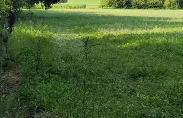 Eden - Mas de Rousseau - Foto 22