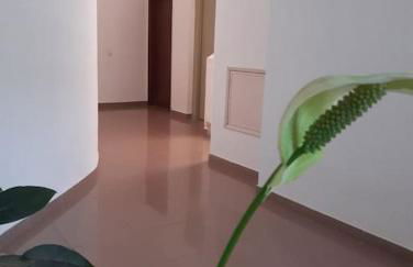 Apartamento Batalha - Quarteira, Algarve, Portugal - Foto 20