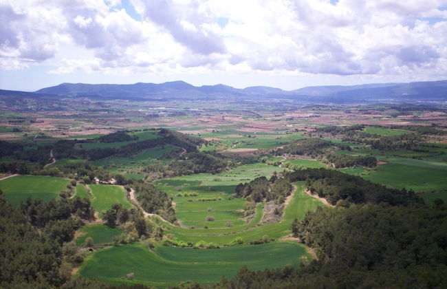 Rural Horizons - Foto 27