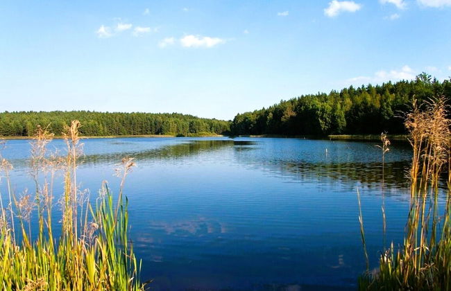 Tiny House in Kleinschoenau in the Waldviertel - Foto 26