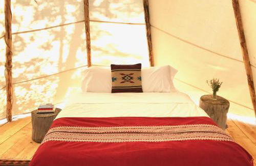 Taos Goji Farm & Eco-Lodge Retreat - Foto 38