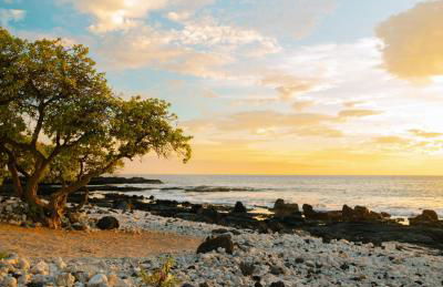 Hale O Ka Lau - Photo 36