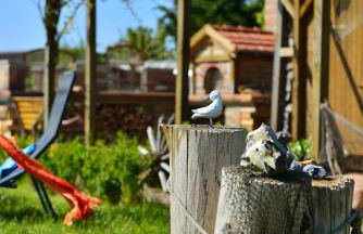 Ferienwohnung Milow - Foto 19