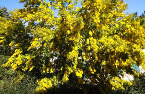 La Sora Bice - Foto 20