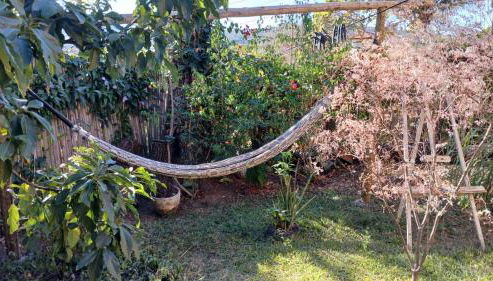 Diamantina, Curralinho Extração - Foto 3, Garden