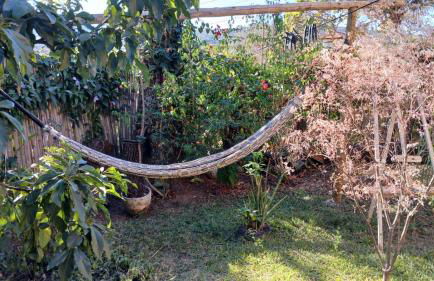 Diamantina, Curralinho Extração - Foto 3