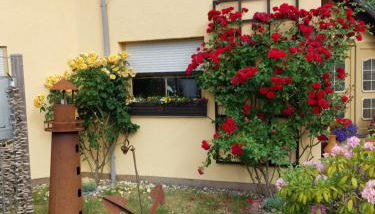 OSTSEEFERIEN IN LICHTENHAGEN-DORF FERIENWOHNUNG - Foto 2