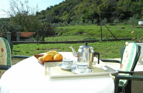 Apartments Rajkovic - Photo 46