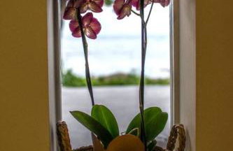 Theofilia Sea Side Studio - Foto 7