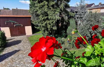 Ferienwohnungen Dirk Laurisch - Foto 24