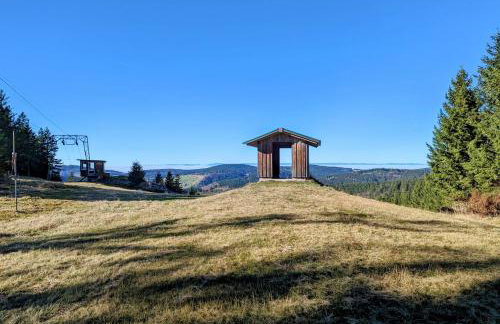 Schwarzwald Chalet Matti in Todtnauberg - Foto 74