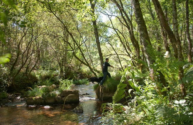 O Muíño de Pena Casa Rural - Photo 42