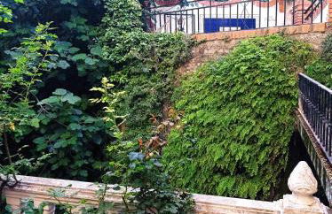 Los Caños de La Casa Viva - Foto 19