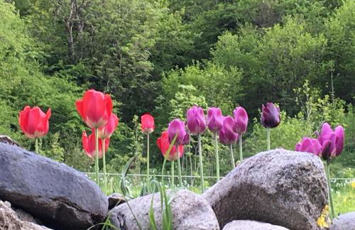 Casa Aranesa - Photo 39