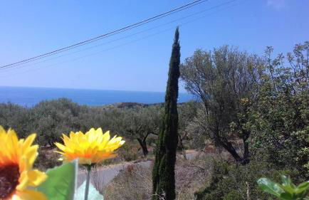 B&B Borgo San Antonio - Foto 52