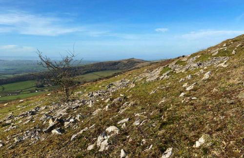 The Story House Cottage - Mendips Countryside near Axbridge - Foto 8