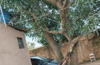 Casa inteira com árvore e rede perto do Aeroporto de CG - Foto 12