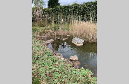 Near „Hamburg summer lounge“ cozy sunny green - Foto 3