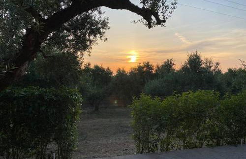 Rustic- Chic Villa in a Private Olive Grove - Filiatra - Foto 1