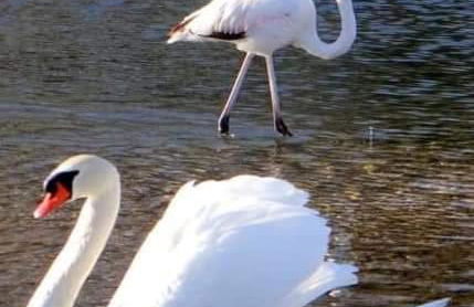 Villa Ange Azur 2 - Foto 32