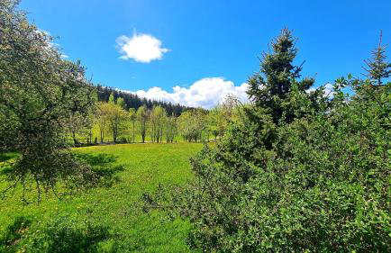 Cisowe Wzgórze - Foto 16