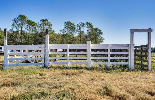 Horse Stalls, Pool and Deck Polk City Getaway! - Foto 28