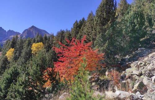 Bassiero Apartament - Photo 33