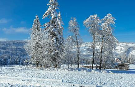 Willa Rąbanisko z sauną fińską - Foto 73