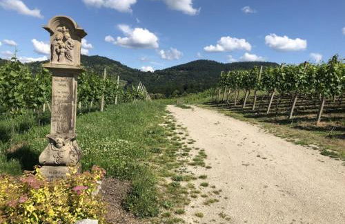 Azuria Black Forest Loft - Photo 20