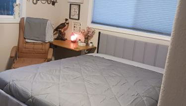 Pet-friendly Coastal Butterfly Retreat - Foto 5