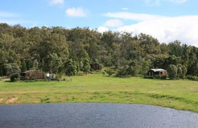 Wisteria Cottage and Cabins - Photo 43