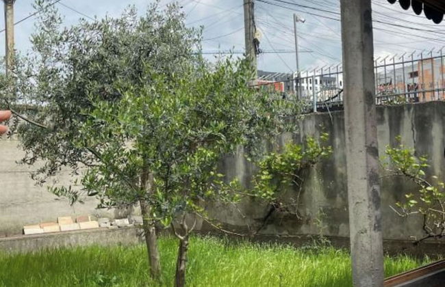 Kalpazo Tirana Vila 313 - Foto 30