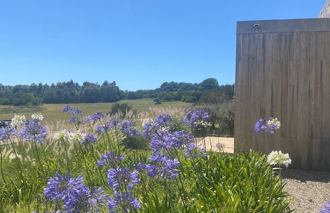 La Picarona - Foto 4