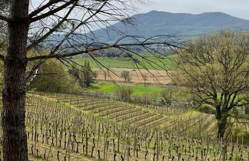 Agriturismo, Casa Borgo - Foto 46