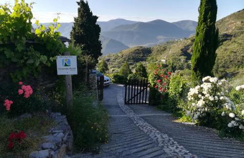 Bancal de Los Pérez - Foto 4