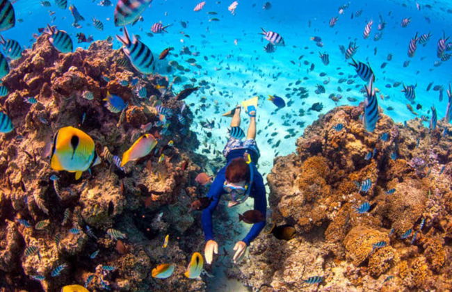 Bora Bora Catamaran Tour - Photo 7