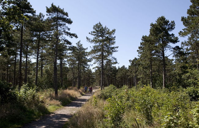 Apartment on Texel Near De Koog Beach - Foto 20