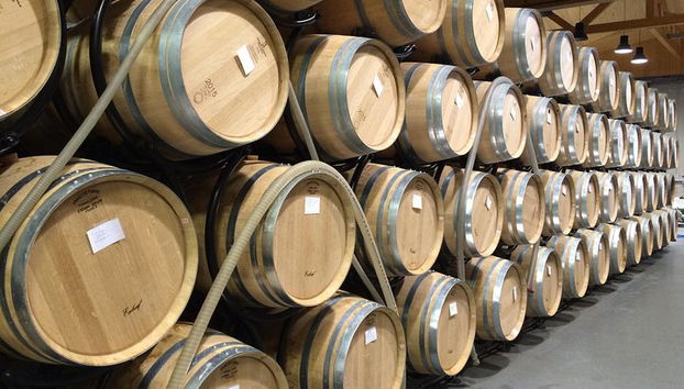 Tour enológico por el sur de Borgoña - Tour compartido de día completo desde Lyon - Foto 4