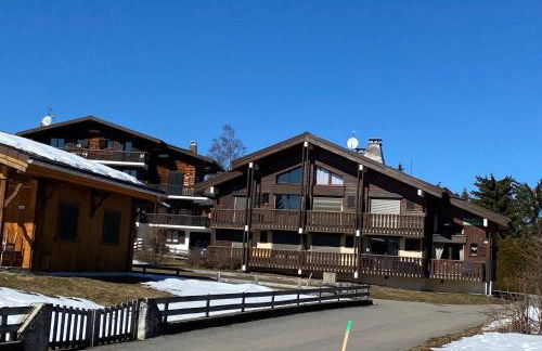 CHALET DES NEIGES - Foto 1