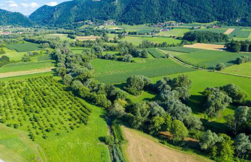 House Pepica With Hot Tub - Happy Rentals - Photo 24