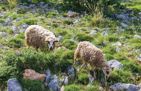 Two-Bedroom Holiday Home In Biograd - Foto 40