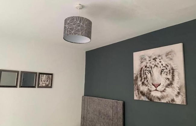 6 Eyre Square Lane - Foto 2