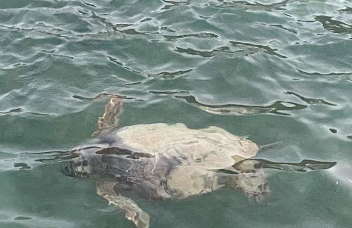 Vecchia Casa sterna - Foto 22