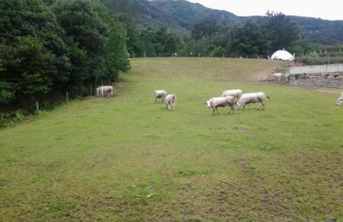 Natura e relax - Foto 22